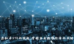 虚拟币STE的崛起：掌握未