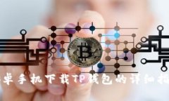 安卓手机下载TP钱包的详细指南