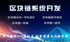 深入解析RCO虚拟币：投资前景与风险管理