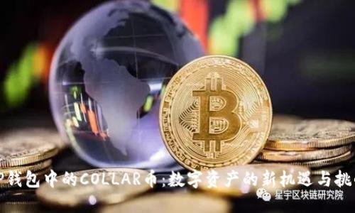 TP钱包中的COLLAR币：数字资产的新机遇与挑战