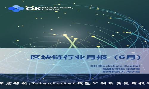 深度解析：TokenPocket钱包公钥及其使用技巧